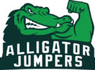 AlligatorMeterJumpers
